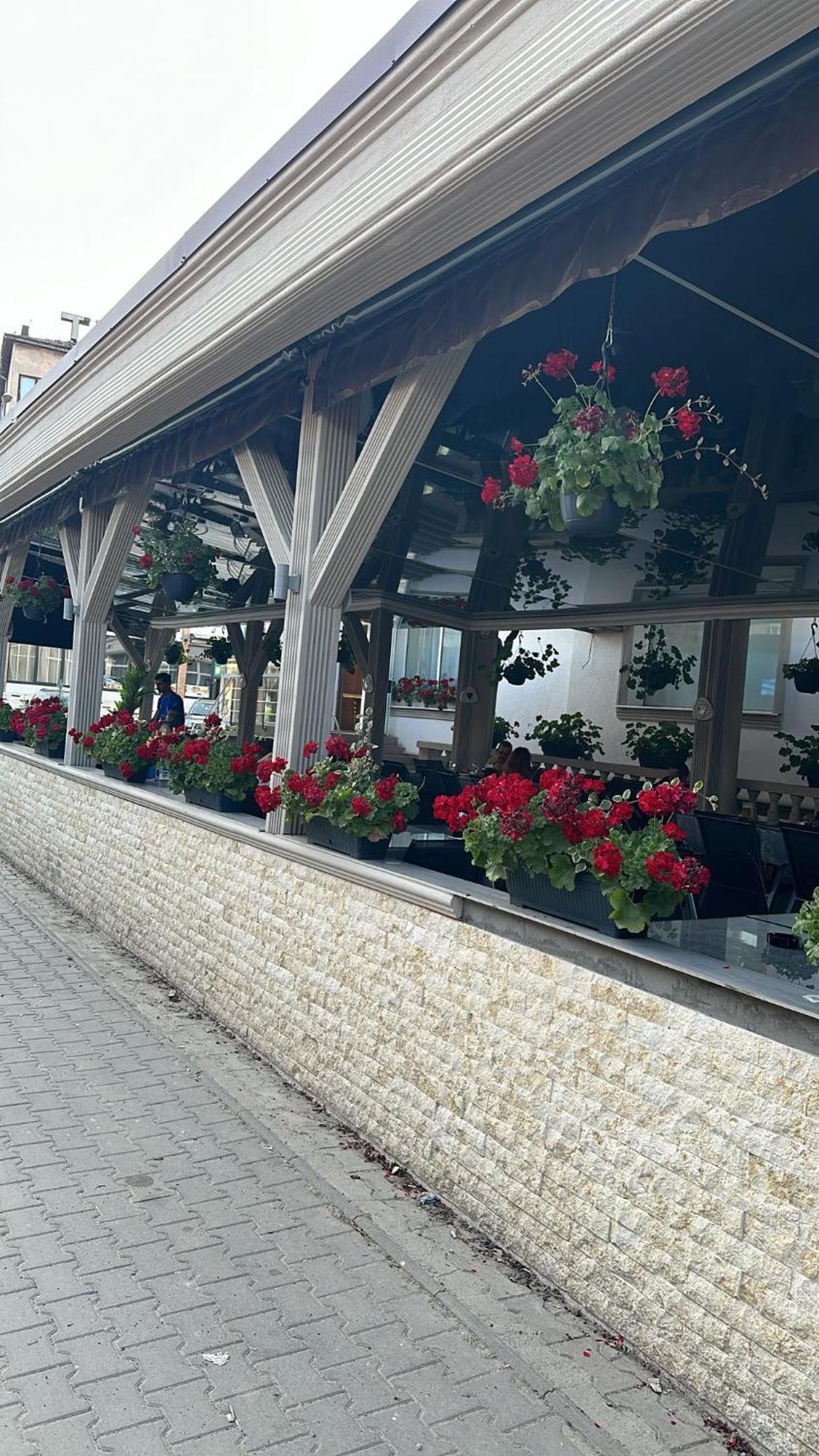 Pensiunea Balea Câmpeni Exterior foto